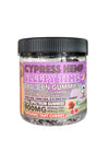 Sleepy time CBD CBN Gummies 900mg